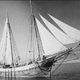 photo du film Fortune carrée