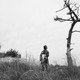 photo du film Fukushima mon amour