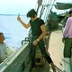 photo du film Robert Enrico - Les Années 60