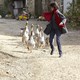 photo du film Médecin de campagne