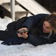 photo du film Wind River