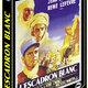 photo du film L'Escadron blanc