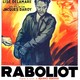 photo du film Raboliot