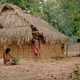 photo du film Le Chant de la forêt