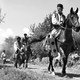 photo du film Aferim!