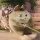 photo du film Les Bouchetrous
