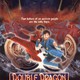 photo du film Double dragon