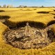 photo du film Shaun le mouton, le film : la ferme contre-attaque