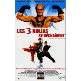 voir la fiche complète du film : Les Trois ninjas se dechainent