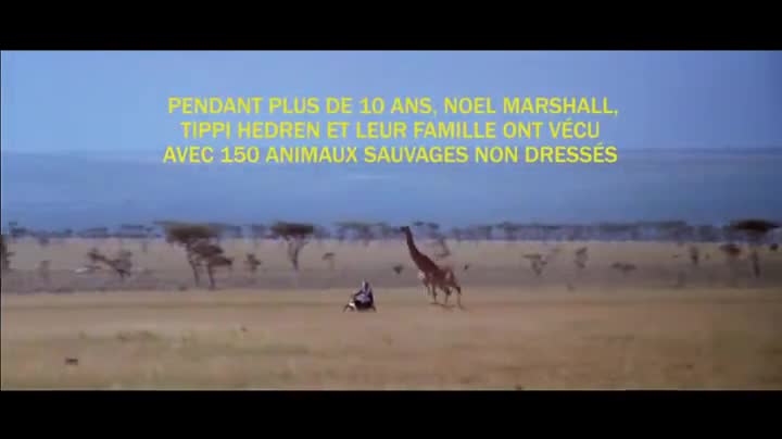 Extrait vidéo du film  Roar