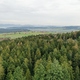 photo du film La Puissance de l’arbre