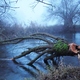 photo du film La Puissance de l’arbre
