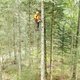 photo du film La Puissance de l’arbre