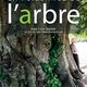 photo du film La Puissance de l’arbre