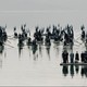 photo du film Eleni, la terre qui pleure
