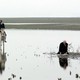 photo du film Eleni, la terre qui pleure