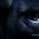 photo du film Underworld 2 Evolution