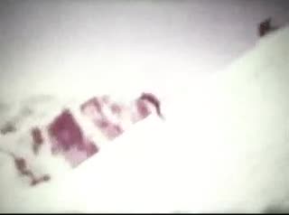 Extrait vidéo du film  La griffe