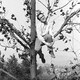 photo du film Le Petit frère