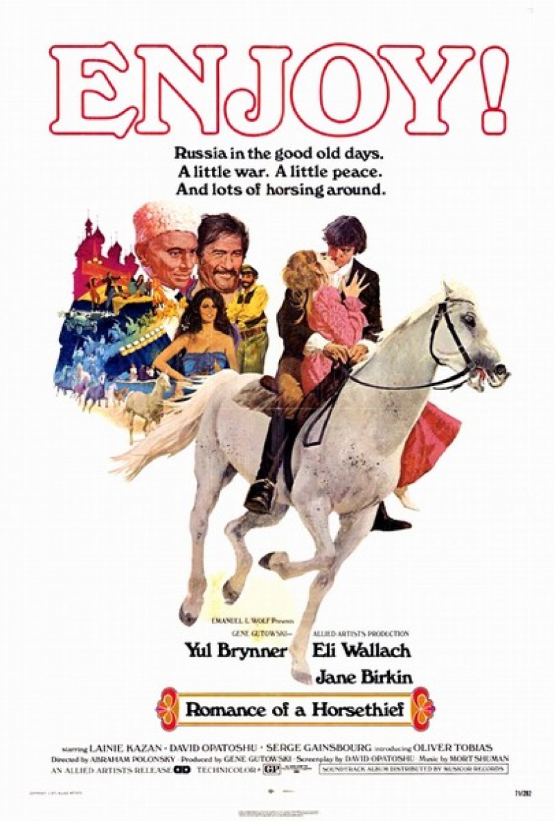 Le Roman D Un Voleur De Chevaux Le Roman d'un voleur de chevaux, film de 1970