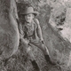 photo du film Terreur à l'ouest