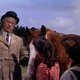 photo du film Le Grand National