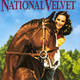 photo du film Le Grand National
