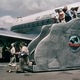photo du film La Piste des éléphants