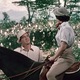 photo du film La Piste des éléphants