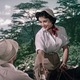 photo du film La Piste des éléphants