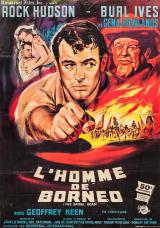 L homme De Bornéo