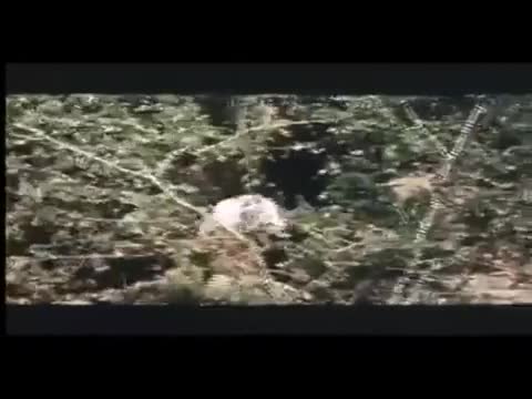 Extrait vidéo du film  L assaut Des Jeunes Loups
