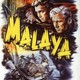 photo du film Malaya