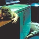 photo du film Henry, portrait d'un serial killer