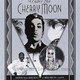 photo du film Under the Cherry Moon