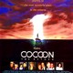 photo du film Cocoon, le retour