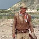photo du film Hondo, l'homme du désert