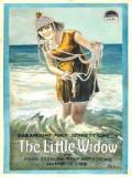 voir la fiche complète du film : The Little widow