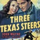 photo du film Three Texas Steers