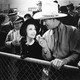 photo du film Three Texas Steers