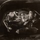 photo du film Les déracinés