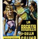 photo du film La Ragazza Della Salina