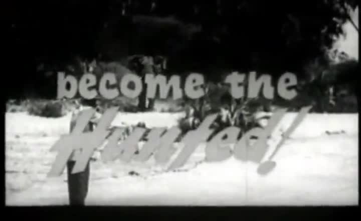 Extrait vidéo du film  Safari
