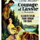 photo du film Le Courage de Lassie