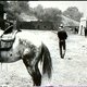 photo du film Le Ranch Diavolo