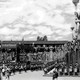 photo du film L'arche De Noe
