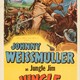 photo du film Les Aventuriers de la jungle