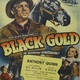photo du film Le gagnant du Kentucky