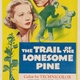 photo du film La Fille Du Bois Maudit