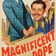photo du film Le nigaud magnifique